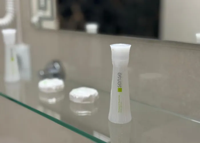 Celine Confort N. D. Cocea Bucareste