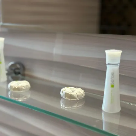 Celine Confort N. D. Cocea דירה בוקרשט