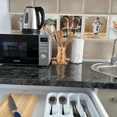 Celine Confort N. D. Cocea *