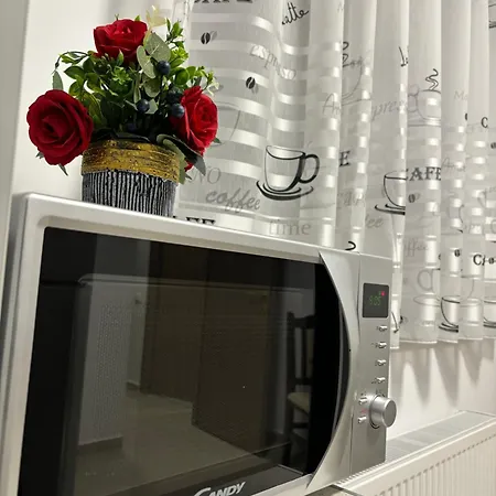 Celine Confort N. D. Cocea * בוקרשט