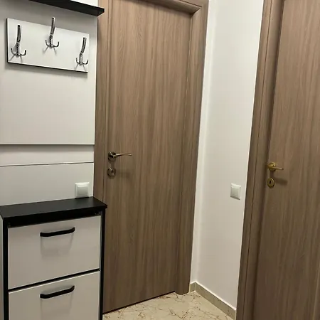 Celine Confort N. D. Cocea