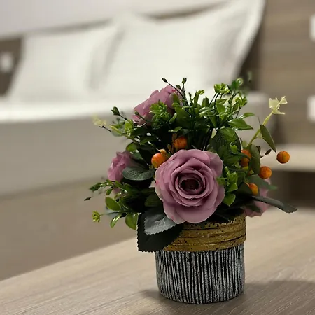 Apartament Celine Confort N. D. Cocea *