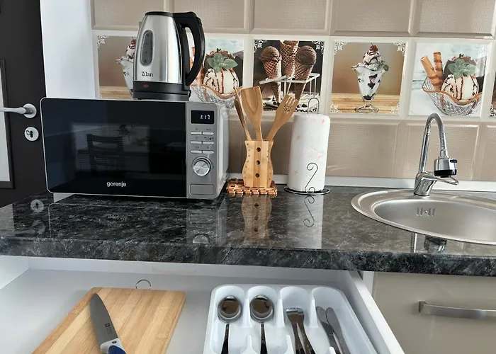 Celine Confort N. D. Cocea *