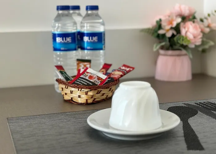 Апартаменты Celine Confort N. D. Cocea Бухарест