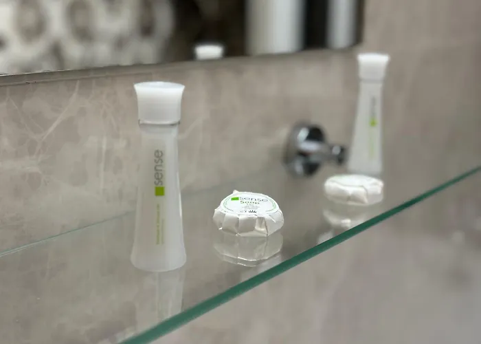 Celine Confort N. D. Cocea Апартаменты *