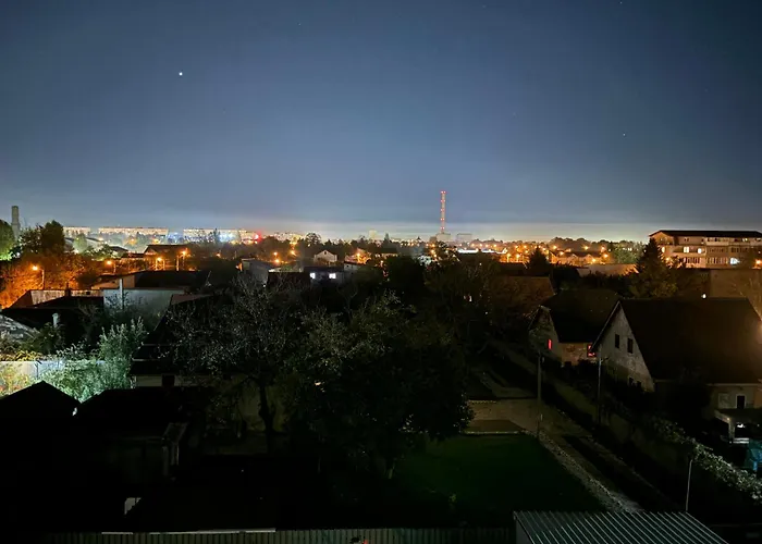 Celine Confort N. D. Cocea