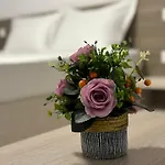 Apartamento Celine Confort N. D. Cocea *