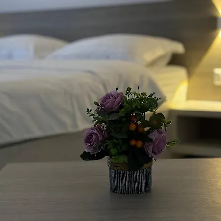 Apartment Celine Confort N. D. Cocea *