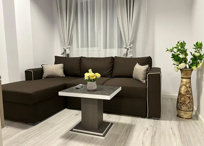 Celine Confort N. D. Cocea Apartment *