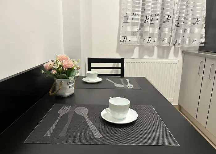 Celine Confort N. D. Cocea Apartment