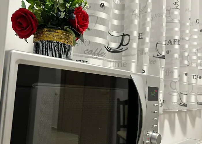 Apartment Celine Confort N. D. Cocea